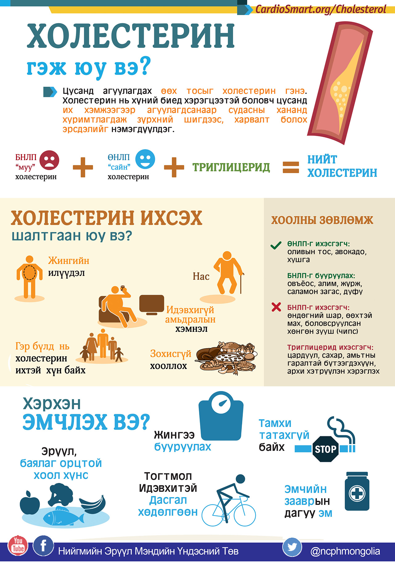 Maamuu · Холестерин ихсэх шалтгаан юу вэ?